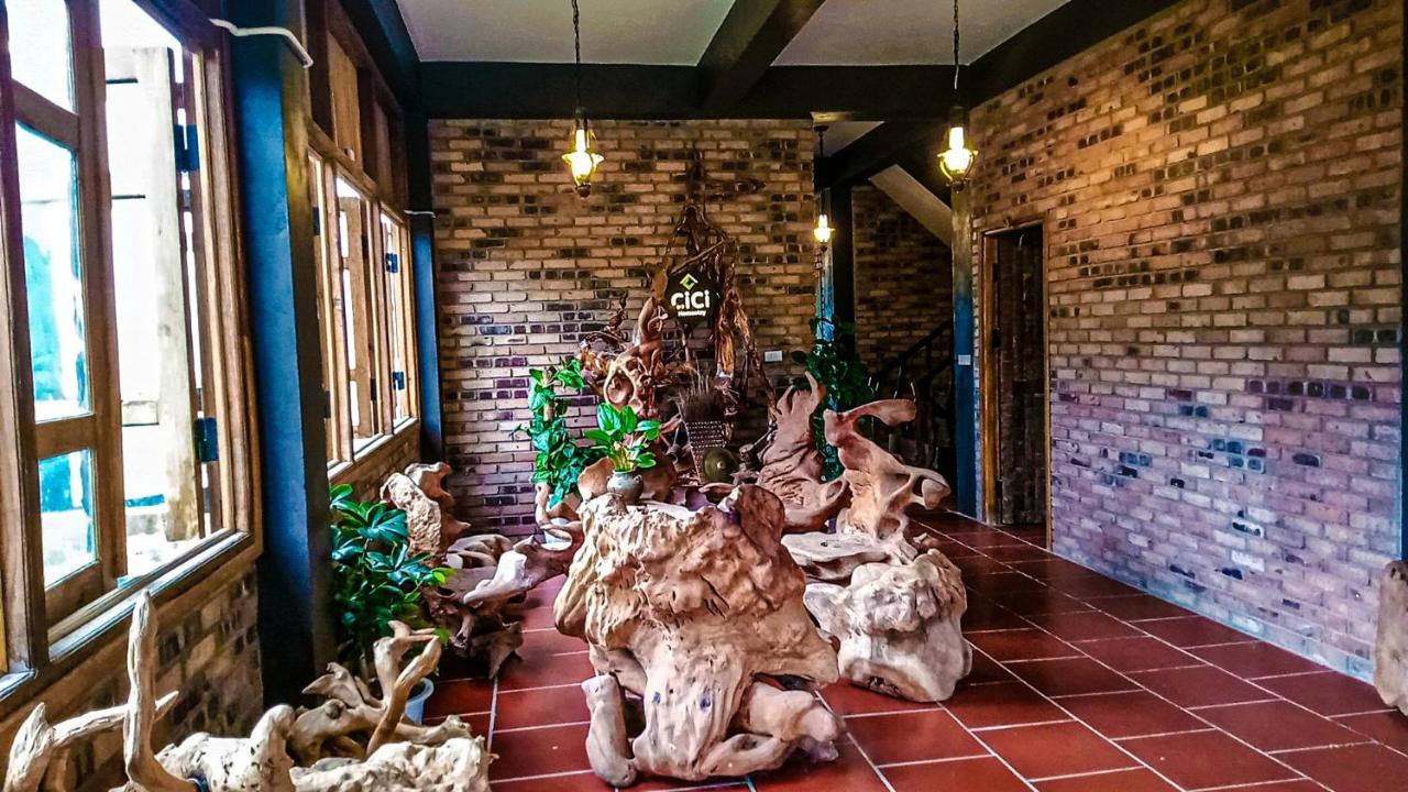 Cici Homestay Dong Van מראה חיצוני תמונה